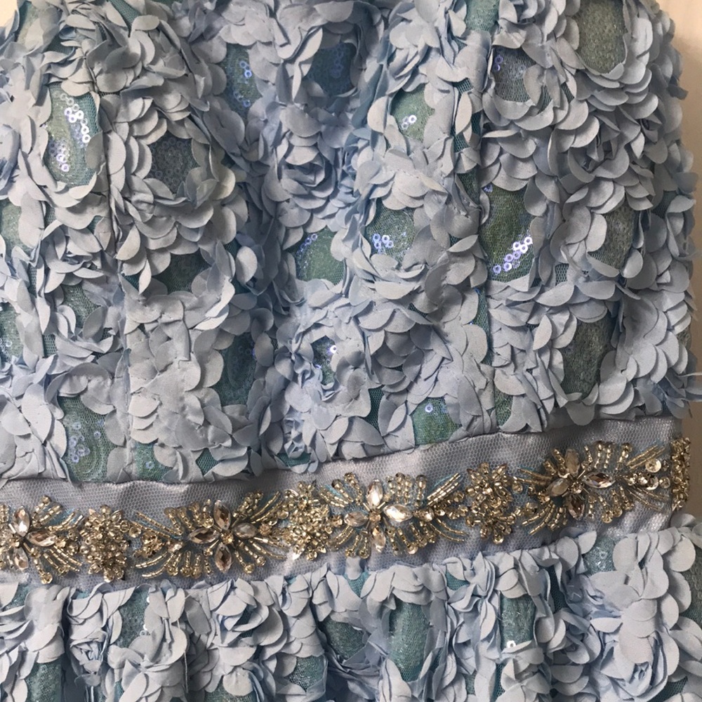 Baby Blue Ruffled/Flower Dress - Picture 3 of 4